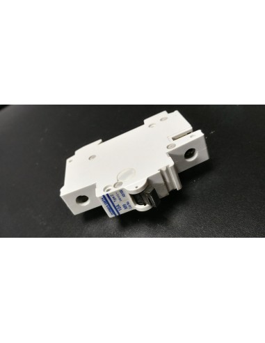 Dorman Smith AS102 10amp Type 2 M9 Mcb breaker